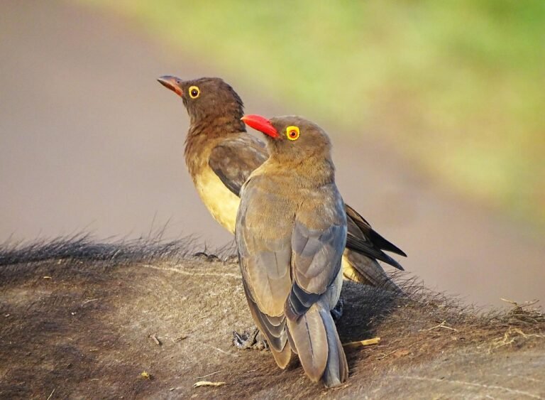 gc6b3e0ba7bd21cbe01c5aa1d19023d22b548f082dfdcd40b99b2f2f0a17a748c532f7114c1e87cc950e75a4e9d69335ff7e51d911ec94571ca13e539273fd2a2_1280