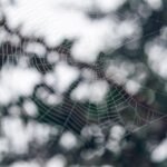 gb04b53a283b73129c135b3bae9f9ba65ab27184e63c3509849c7ff6d34bcdd010d71ad42be7d41c1100ecafdf117b2a14321252ae027679c917e42f8693ffad5_1280