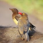 ga1a3f2d60b5307f95de613d02b7b95286c56438eb2cd13d9435ca69f49047284cad78fdc44b307ee61dcd6ef6abba90a3bcf86e2553b2f3f5ea675f1aed662dd_1280